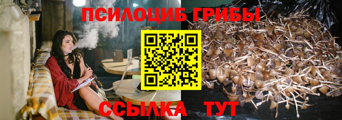 Псилоцибиновые грибы ЛСД Тольятти